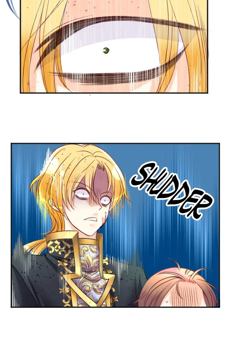 36061136 800 1237 70116